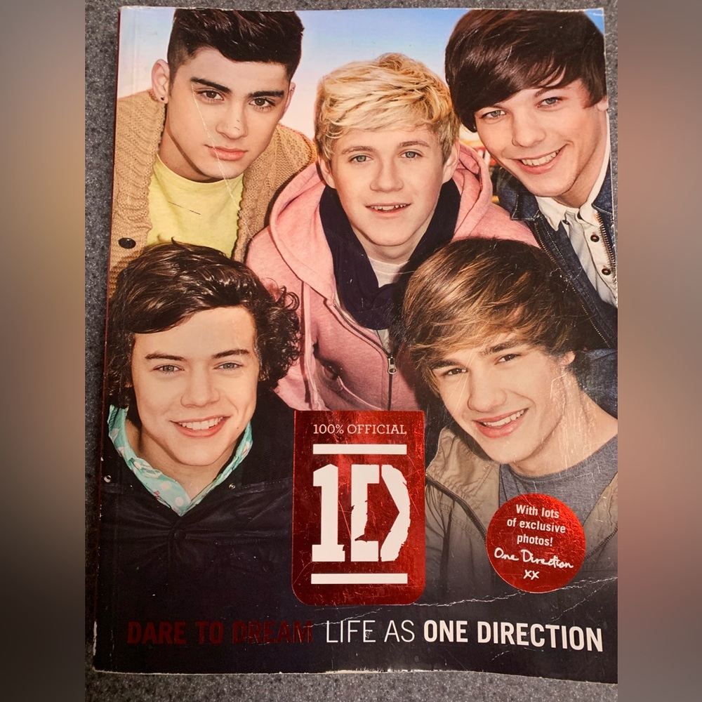 COPY - Dare To Dream Life As One Direction book